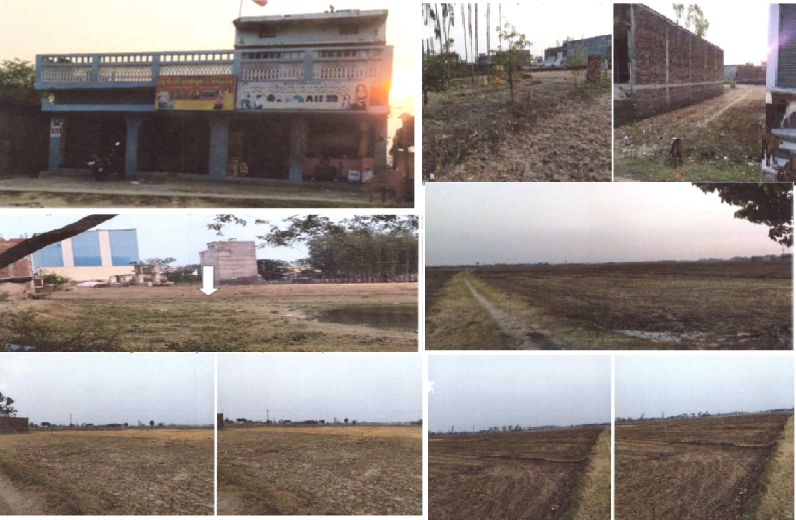 BHARAT AGRO INDUSTRIES 179241